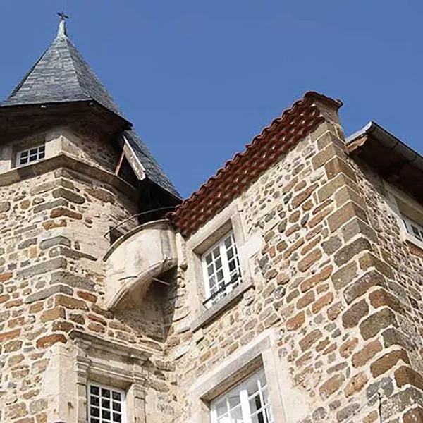 Maison au Loup - Superbe ancien hotel particulier du XVIe siècle au cœur de la vieille ville du Puy – hotel w mieście Le Puy-en-Velay