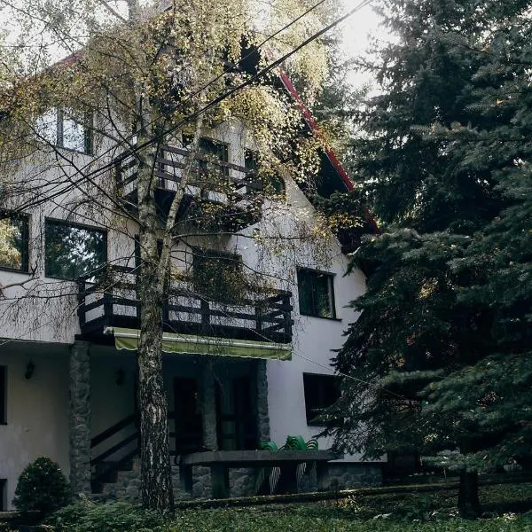 Casa Mario, hotel in Sătic