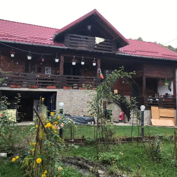 Cabana Trei Brazi Dambovita, hotel in Costeşti