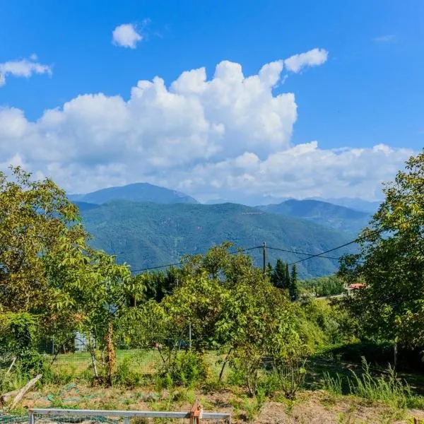 Σπίτι στο Τείχιο με θέα Βαρδούσια και Γκιώνα, hotel v destinaci Tíkhion