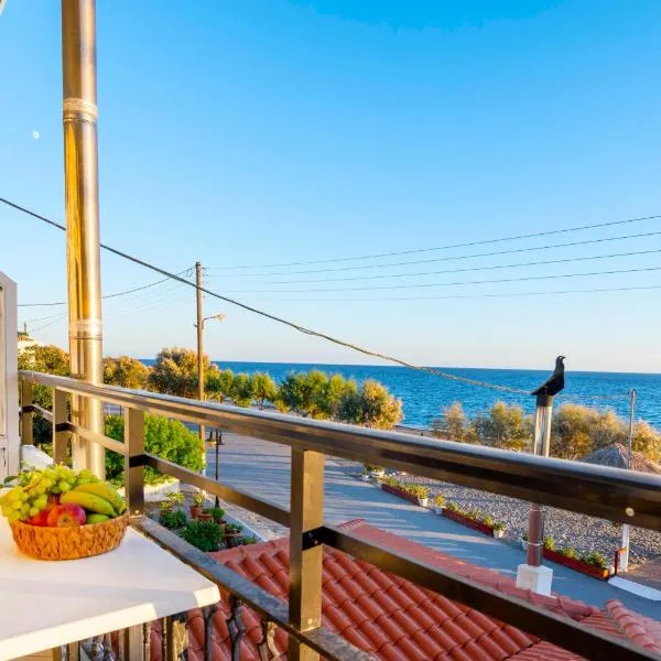 Soso's Apartments -Vacations Next to the Beach, Hotel in Psari Forada