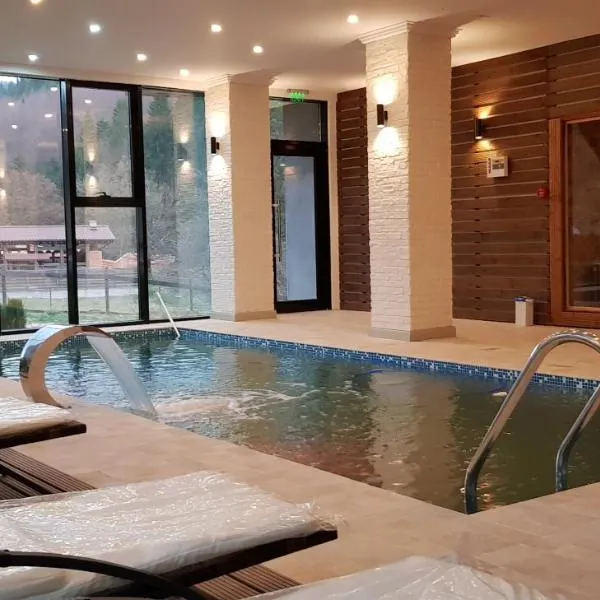 Mălini में, होटल pensiunea Davideea