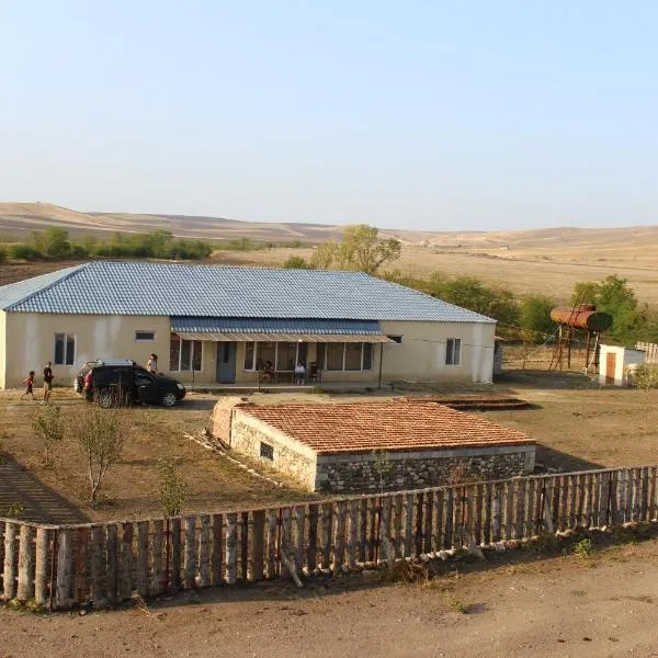 Farmer's house in Vashlovani / ფერმერის სახლი ვაშლოვანში, hotel sa Dedoplis Tskaro