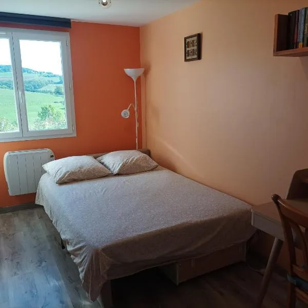 Chambre d'hôte avec Hammam et salle de jeux, hotel v destinaci Chazelles-sur-Lyon