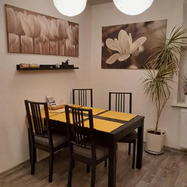 Apartment Riegerovka, hotel in Cheb
