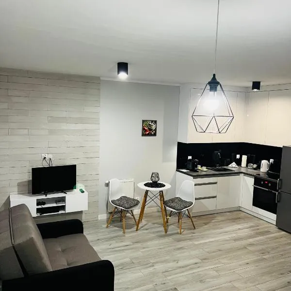 Apartment Comfort, viešbutis mieste Barštynas