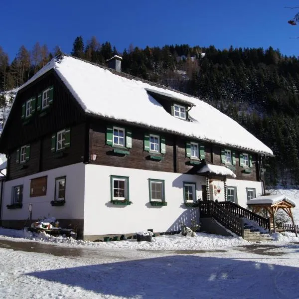 Der Perweinhof, hotell i Donnersbachwald