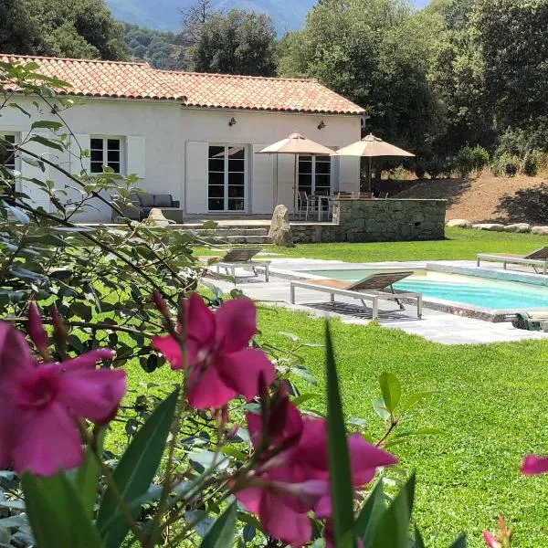 Domaine de Bracciole, hotel v Corte