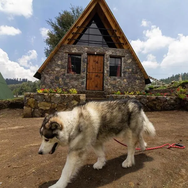 Bosque de Perlillas, hotell i Ocoyoacac