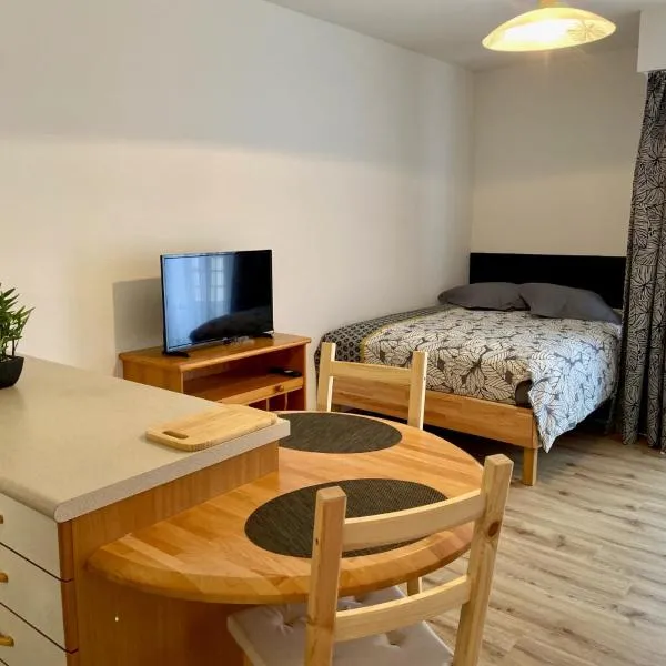 Studio le pied de Bœuf, hotel v destinaci Wissembourg