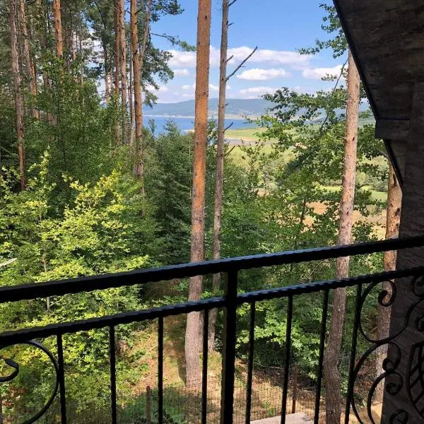 Вила Bora Vista 2, hotel in Tsigov Chark