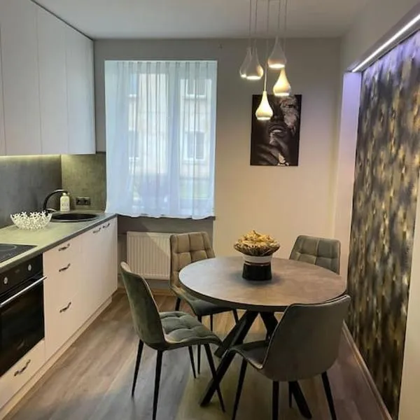 Just renovated 2 room apartment near the Palace, hotel v destinaci Jekabpils