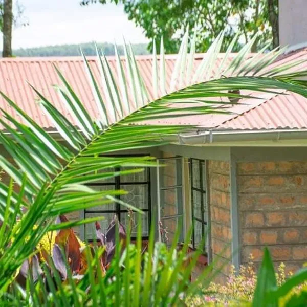 Zoe Homes 1br and 2br Cottage own compound -Kericho town near Green Square mall, hotel v destinaci Kericho