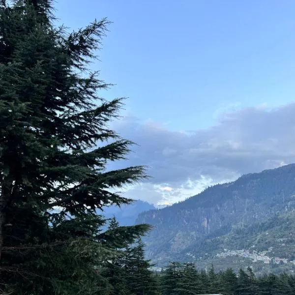 North Deodar Avenue, Manali photo 2
