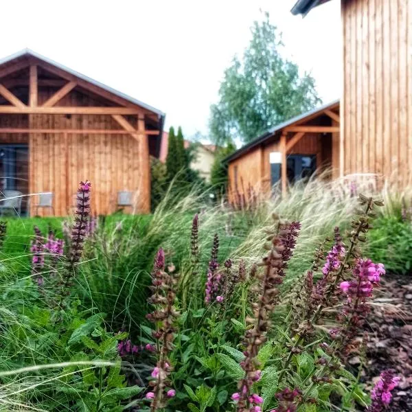 Kwitnące Jabłonie. Całoroczne Domki Wypoczynkowe, hotel v mestu Obrazów