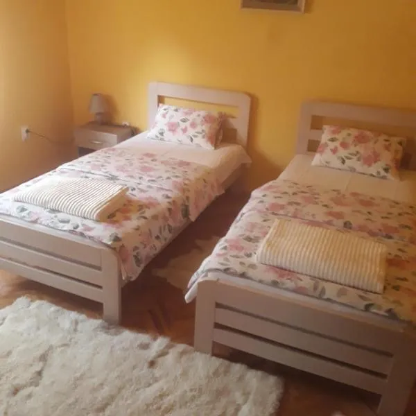 Apartman "Dom Stankovića", ξενοδοχείο σε Pirot