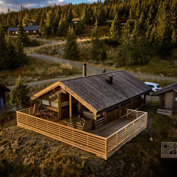Modern sports cabin on Sjusjøen with sauna and waxing room, khách sạn ở Ringsaker