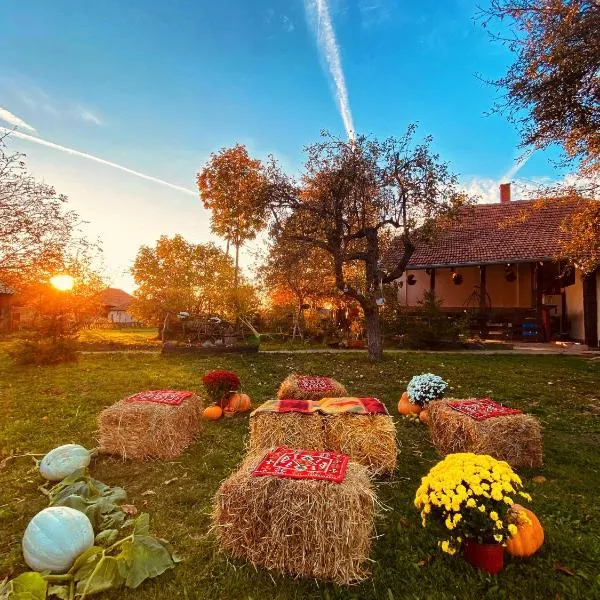 Bukovički mir, hotel v destinaci Aranđelovac