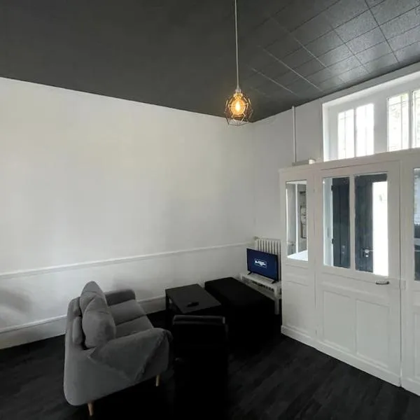 Agréable maison de ville dans la plus belle Avenue, Hotel in Orléans