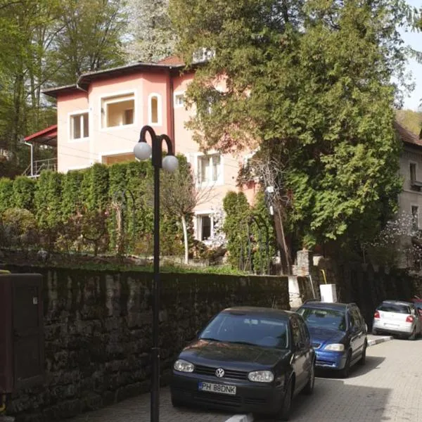 Casa Rosa, hotel i Băile Olăneşti