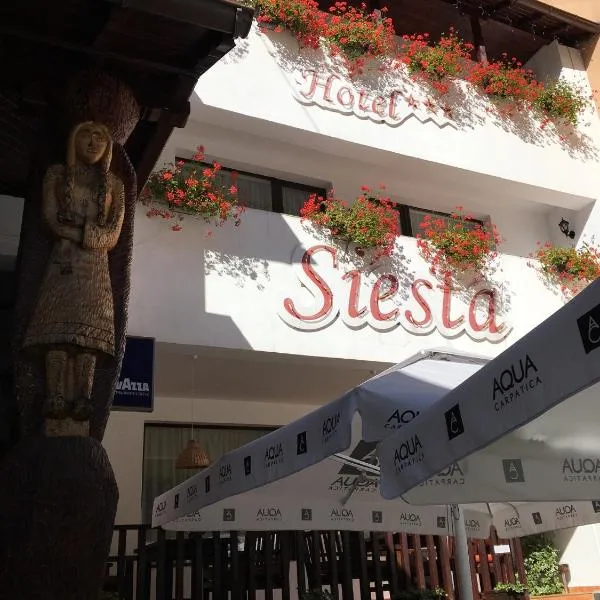 Hotel-Restaurant Siesta Balea、Cumpănaのホテル