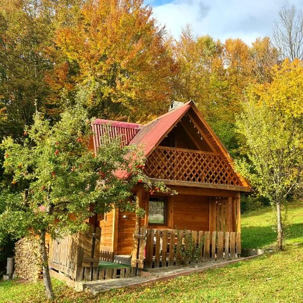 Трембіта, hotel v destinaci Rachov
