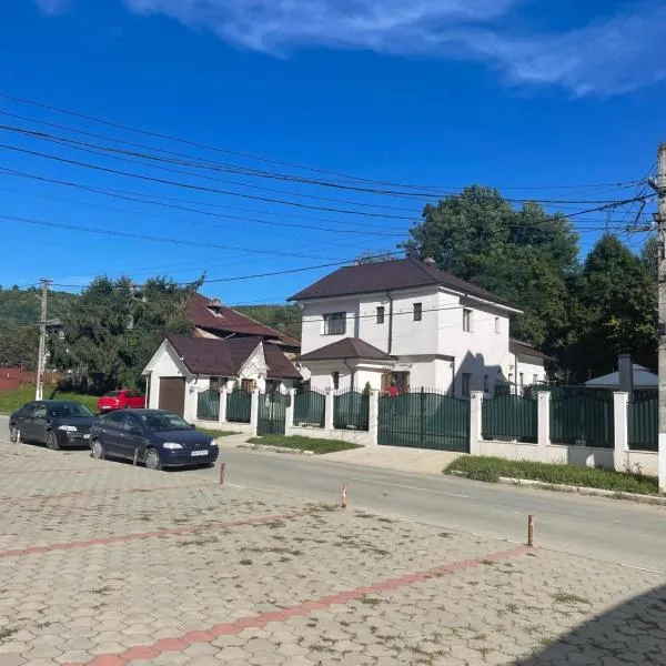 Casa Roa, hotel in Slănic