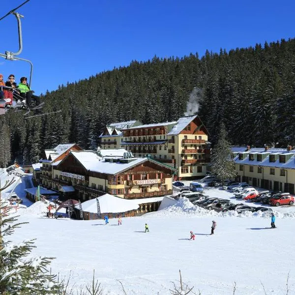 Ski & Wellness Residence Družba, hotel v Demänovské dolině