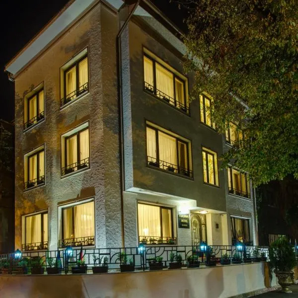 Vila Paris Boutique Hotel, hotel v Bukurešti