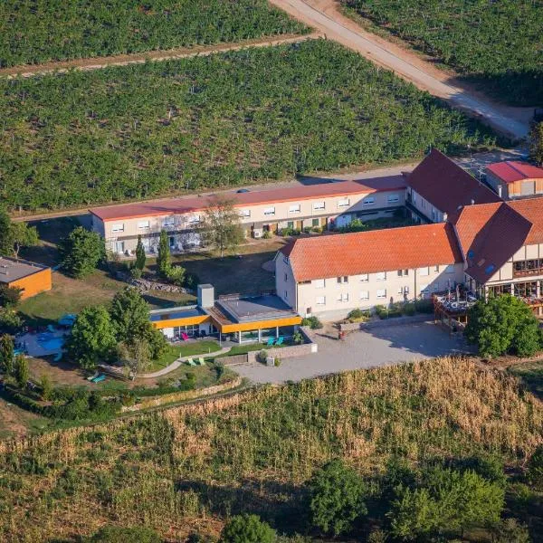 Hôtel du Bollenberg - Restaurant "Côté Plaine" - Spa de la Colline, hotel a Westhalten