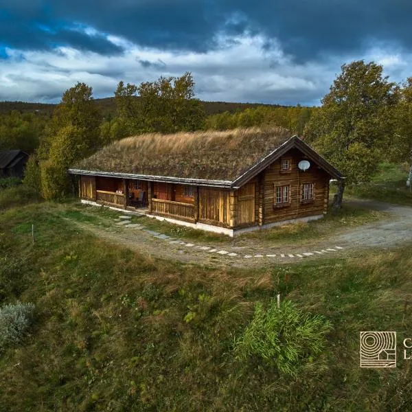 Solid and cozy cottage in a secluded location, hotelli kohteessa Beitostøl