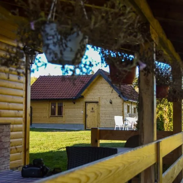 Brvnara Brkovic 2, hotel v destinaci Čajetina