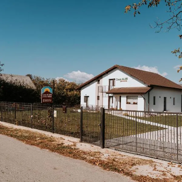 CASA ALMI, hotel in Polovragi