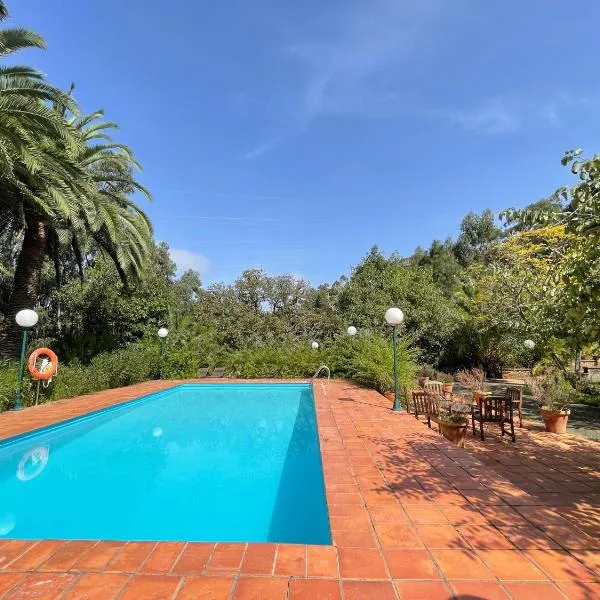 Casa Rural en medio del bosque, El Lance, hotel v destinaci Firgas