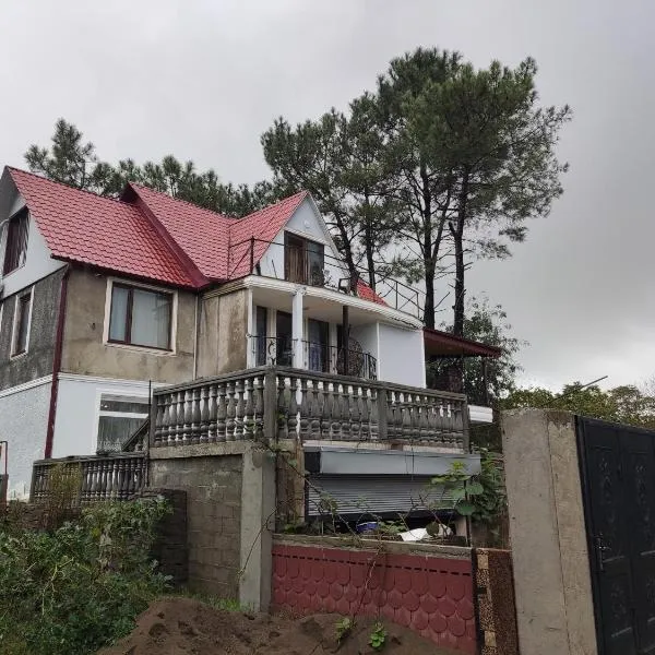 Valdi Guest Shekvetili, hotel in Shekvetili