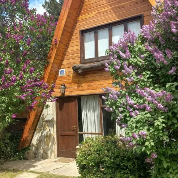 Bungalow de Montaña, Hotel in Esquel