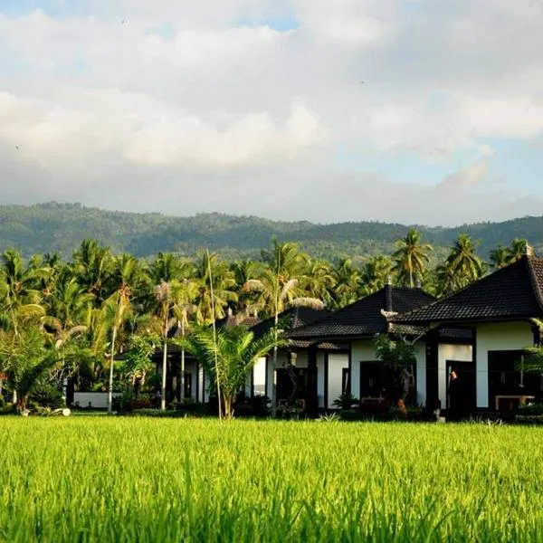 Pandawa Village, hotel v destinaci Lovina