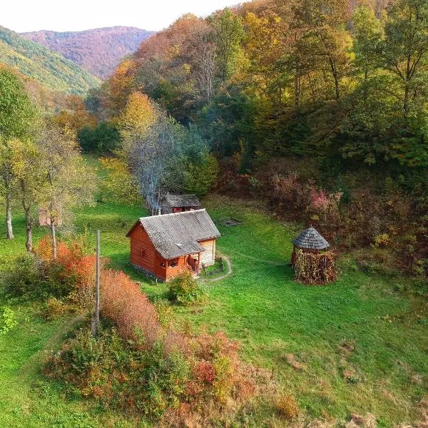 Еко Садиба Під Полониною, hotel in Sasivka