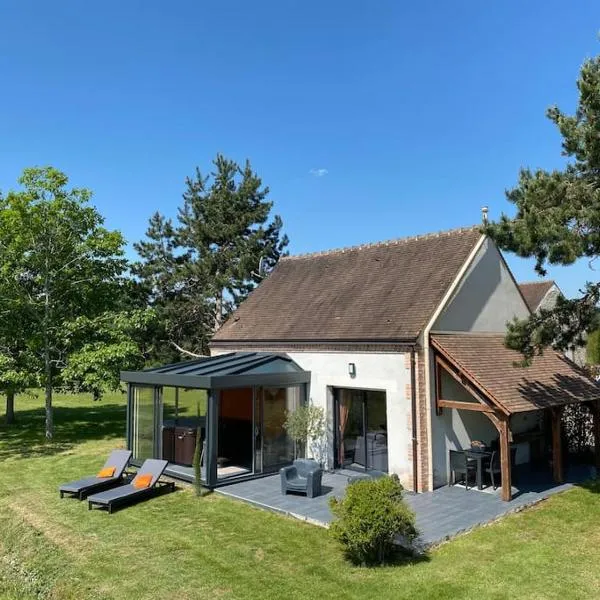 Maison au cœur des étangs de Sologne avec SPA , Domaine de Sainte-Marie, hotel in Ardon