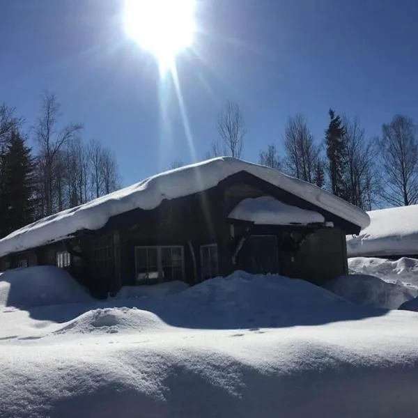 StugaNäraKungsberget - mysig stuga med kamin, grillkåta och vedbastu, hotel in Ockelbo