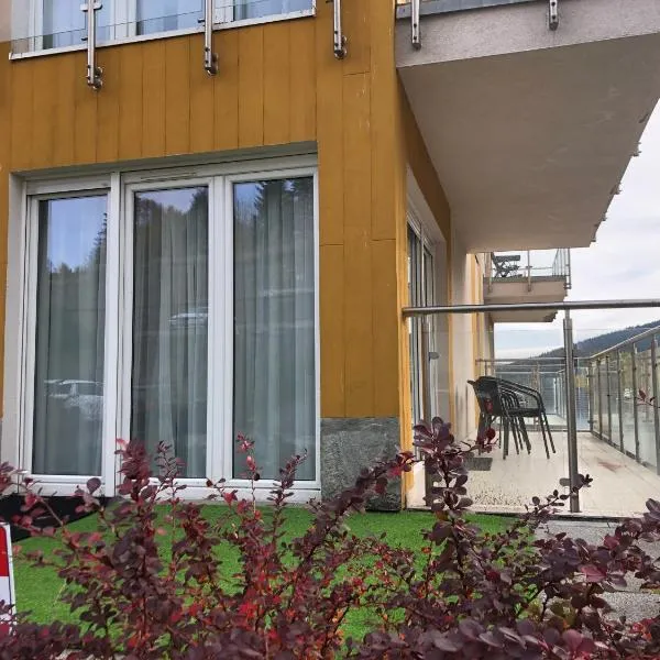 Apartament studio Czarna Góra II โรงแรมในแชนนา