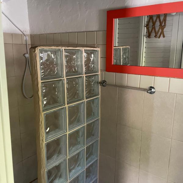 Alemao Cabanas - Foto 3