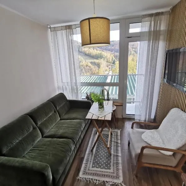 HEARTH HILL VIEW APARTMENT，烏斯特龍的飯店