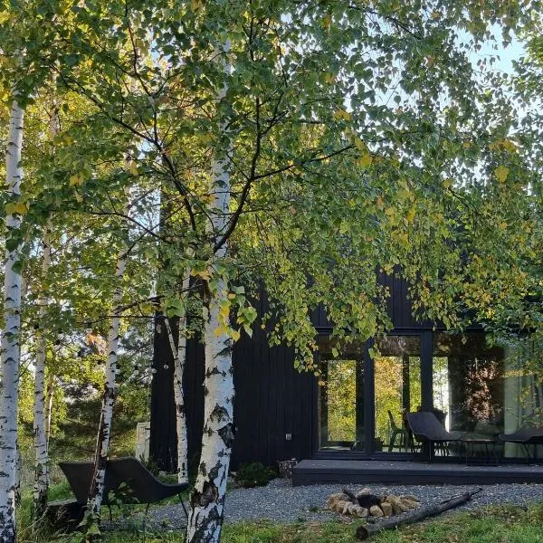 Drewniany dom w brzozowisku, hotel in Pieszyce