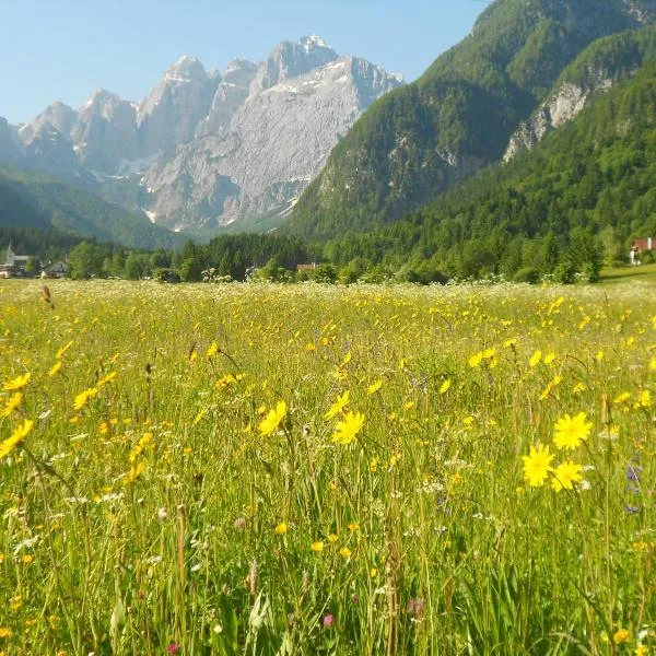 Affittacamere Krajnc, hotel a Valbruna