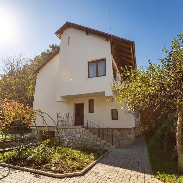 CASA PANORAMA, hotell i Cisnădie