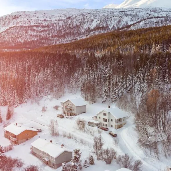 1st floor, Lyngen Alps, sauna included, hotel in Lyngseidet