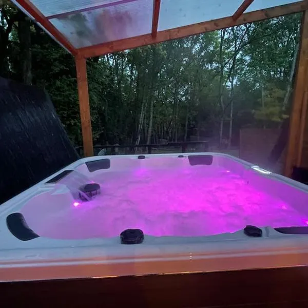 Cocoon Room - jacuzzi, hotel in Vennecy