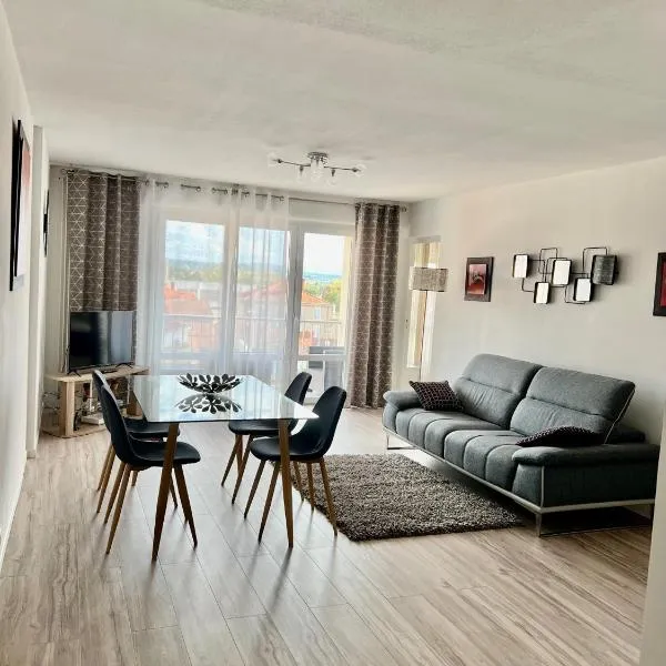 Roanne-centre appartement: Roanne şehrinde bir otel