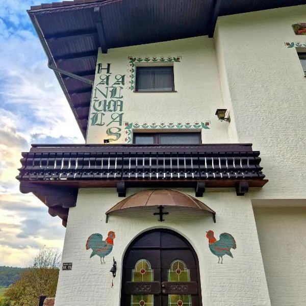 Hanul Almaș, hotel in Ciulpăz